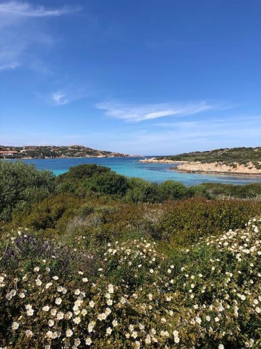 Casa Indipendente Zona Centrale La Maddalena  Dış mekan fotoğraf